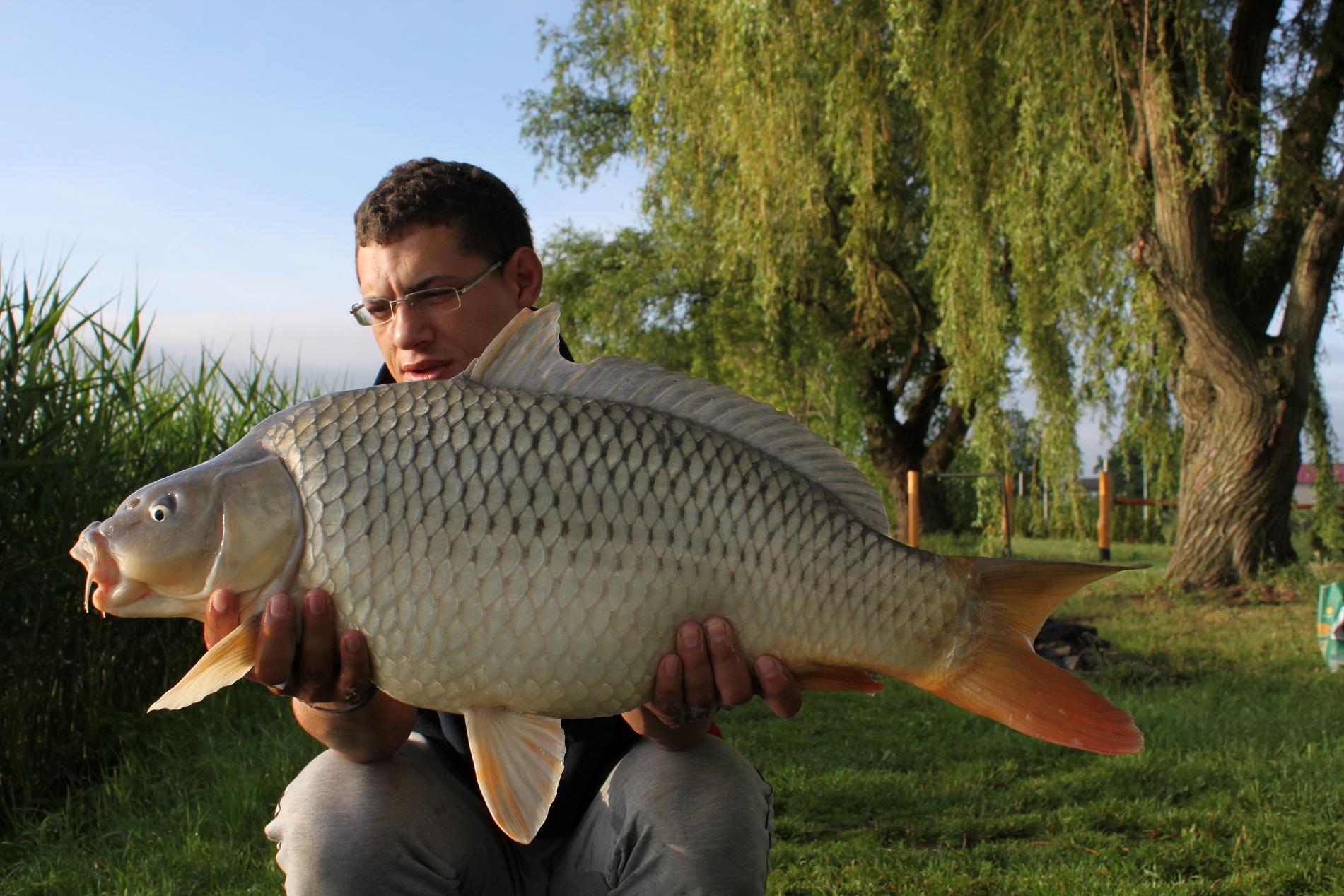 Mv2 Nagykallo - IMG_0572.JPG